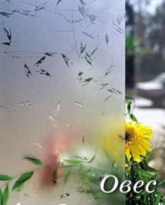 Стекло овес