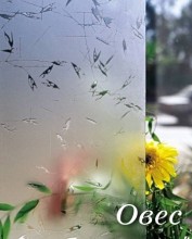 Стекло овес